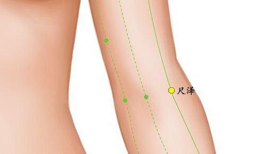 尺泽的准确位置图