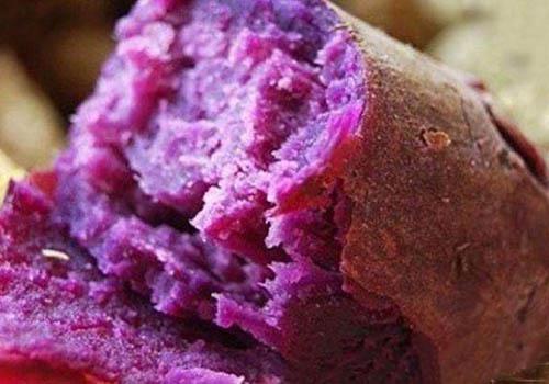 紫薯是转基因食品吗