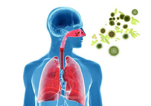 细菌感染和病毒感染有什么区别