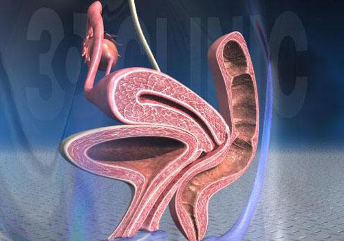 泌尿系统感染误当感冒治 反复发烧拖成肾炎-乐