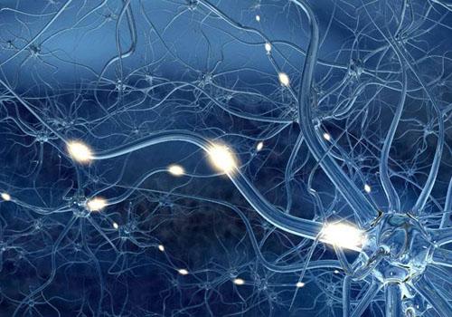 启动临床项目:中国干细胞研究跻身世界前列