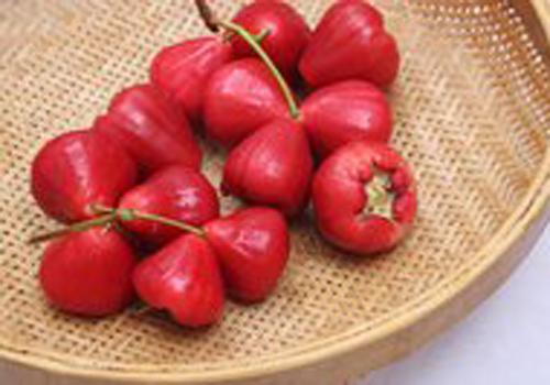 莲雾和芒果能一起吃吗