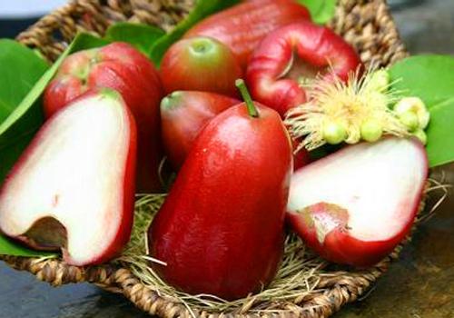 莲雾和芒果能一起吃吗