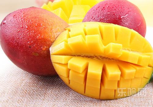 怀孕初期能吃芒果吗,孕早期能吃芒果吗-乐哈健