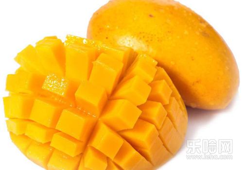 怀孕初期能吃芒果吗,孕早期能吃芒果吗-乐哈健