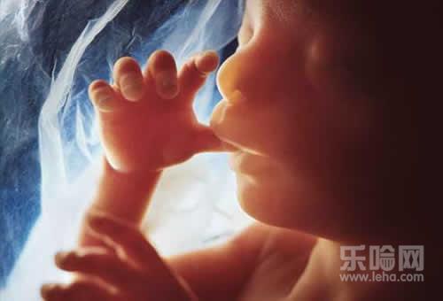 薏仁水可以天天喝吗,每天喝薏仁水好吗-乐哈健