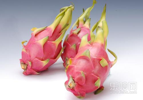 孕初期能吃火龙果吗,孕早期可以吃火龙果吗-乐