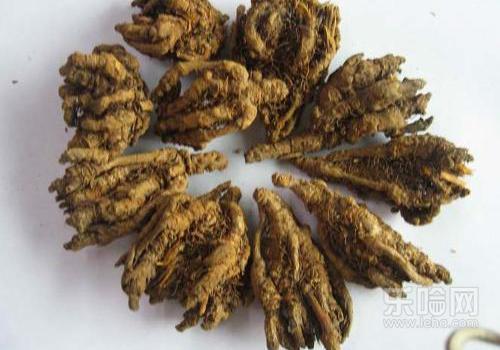 外阴瘙痒白带豆腐渣样该怎么用药,外阴瘙痒白