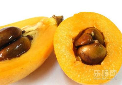 枇杷核怎么吃治咳嗽化痰,枇杷核治咳嗽吗-乐哈