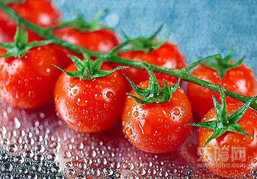 西红柿可以治狐臭吗,西红柿汁能治狐臭吗-乐哈