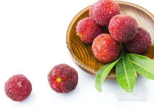 怀孕可以吃杨梅干吗,孕妇能吃杨梅干吗-乐哈健