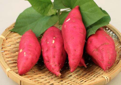 红薯可以放冰箱保存吗