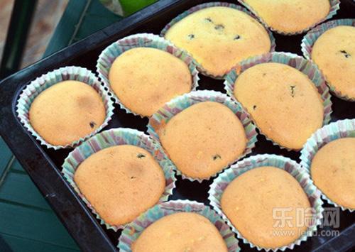蓝莓干蛋糕的做法,蓝莓干蛋糕怎么做-乐哈健康