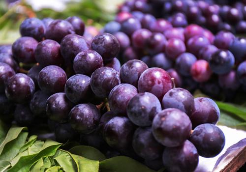 葡萄皮上黑色的小颗粒可以吃吗