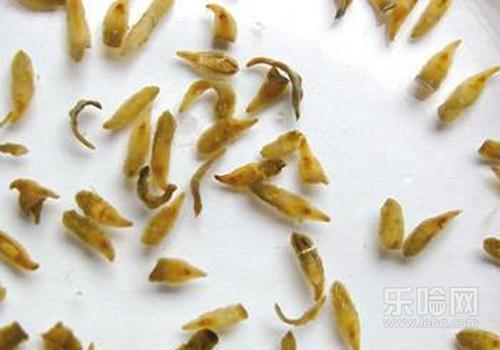 肝吸虫病有什么影响