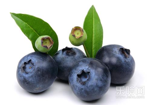 蓝莓儿童吃多少合适,蓝莓儿童可以直接吃吗-乐