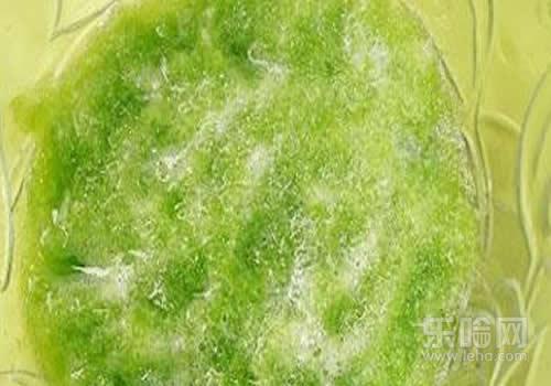 苦瓜面膜有什么危害 苦瓜面膜的这5点危害,你