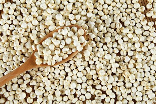 贝母蒸梨哪些人不能吃 这4种人群要注意了!