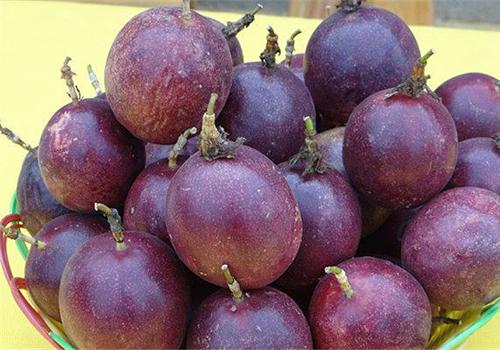 百香果可以长期吃吗 长期吃百香果有什么好处