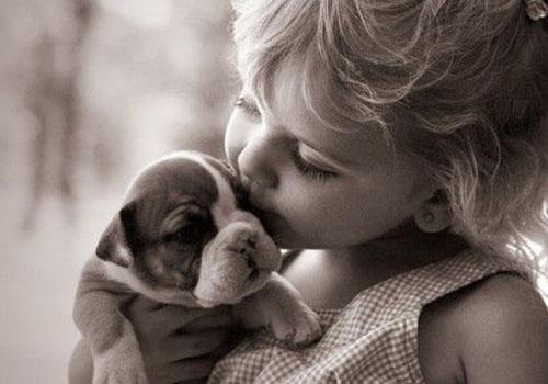 晚上吃橙子会发胖吗,晚上吃橙子好吗,晚上吃橙