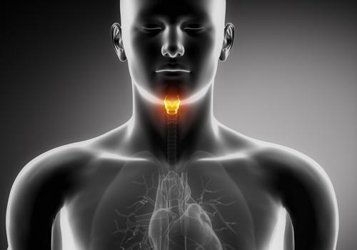 花椒壳粘到喉咙里咽不下去怎么办,花椒可在喉