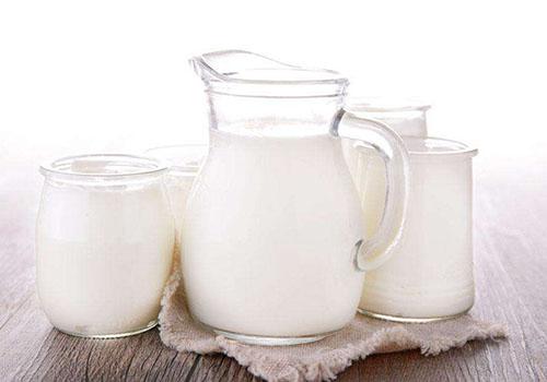 喝全脂牛奶会胖吗