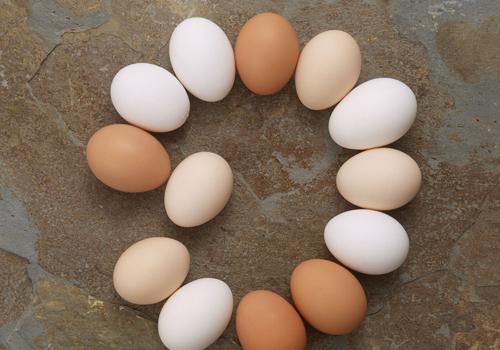 毒鸡蛋击中欧盟监管机制弊端-乐哈健康网