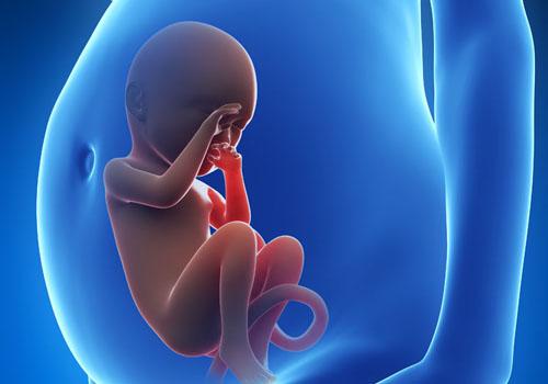 胎儿缺氧吸氧要吸多久,胎儿缺氧需要吸氧几天