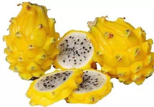 红心火龙果是染色的吗 红心火龙果为什么是红