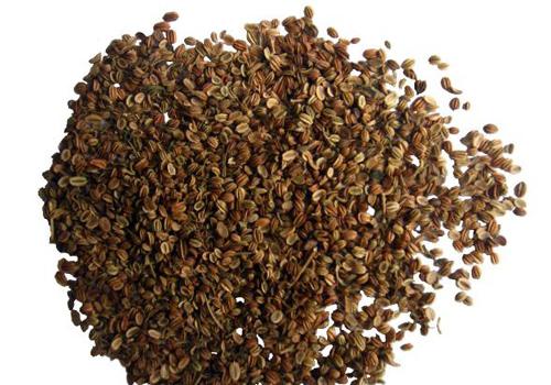 男人早射最好调理方法 这7种调理方让你男人雄