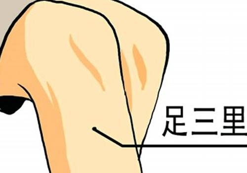 艾灸足三里的功效