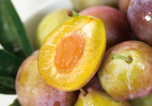 西梅核被吞了有事吗 西梅核吞下多久排出-乐哈