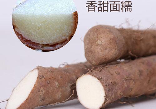 对山药过敏还可以吃吗 山药过敏怎么办