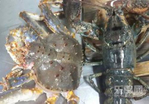 氨糖糖尿病人可以吃吗,氨糖糖尿病人能吃吗,糖