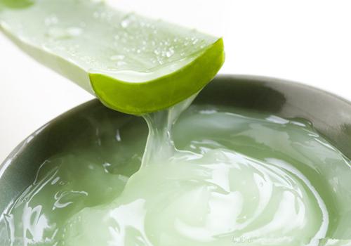 新鲜芦荟可以直接擦脸吗 皮肤过敏能直接用新