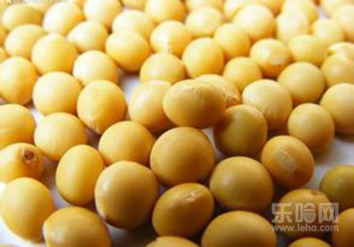 吃什么食物最能丰胸,丰胸吃什么最有效果-乐哈