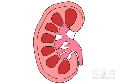 肾积水是什么原因引起的,肾积水的原因有哪些