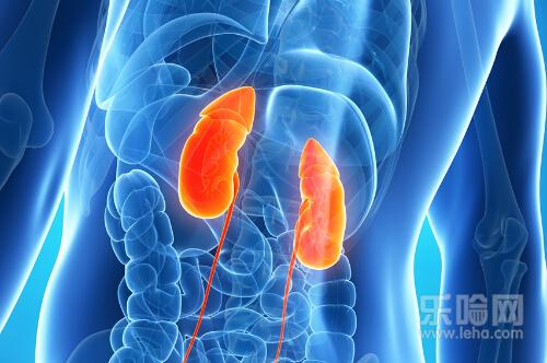 肾积水是什么原因引起的,肾积水的原因有哪些