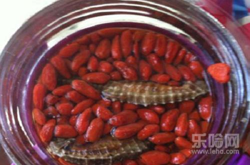 海马和什么泡酒最好,海马泡酒配方大全,海马和