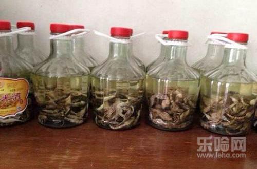 海马和什么泡酒最好,海马泡酒配方大全,海马和
