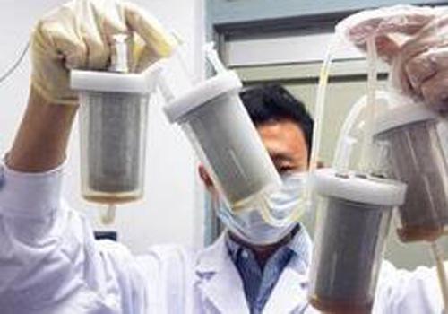 粪菌库已建4年做志愿者不易合格率2%-乐哈