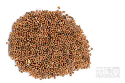 尿黄油高加注物好,尿蛋白高吃食吃好蛋白轴承食补机图片