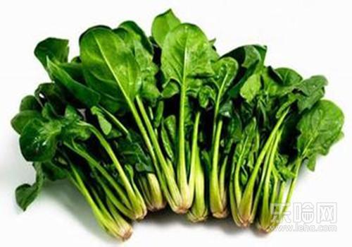 女性头晕目眩吃什么食物好,女人头晕目眩吃什