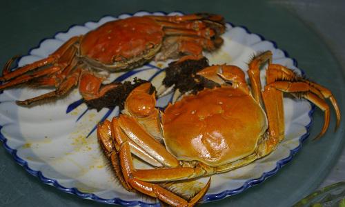 螃蟹和榴莲可以一起吃吗,螃蟹榴莲可以一起吃