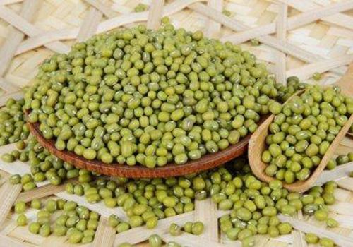 常吃绿豆有什么好处