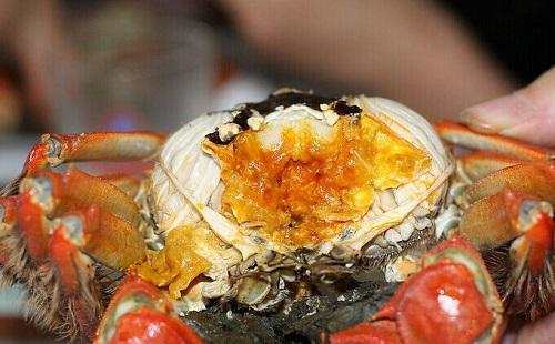 吃螃蟹中毒了怎么办,吃死螃蟹中毒怎么办,吃蟹中毒怎么办-乐哈健康网