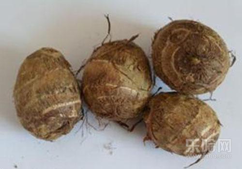 吃芋头为什么喉咙痒,吃芋头喉咙痒怎么办-乐哈