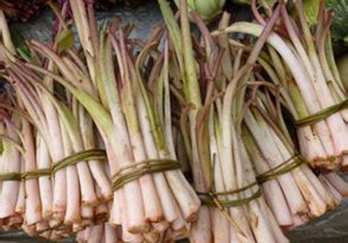 孕妇能吃芋头杆吗,孕妇可以吃芋头杆吗,芋头杆