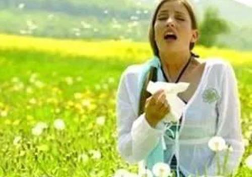 过敏性鼻炎不能吃什么