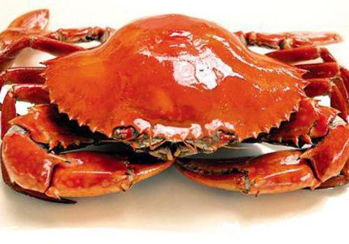 螃蟹什么季节吃最好 一年四季吃螃蟹图谱!